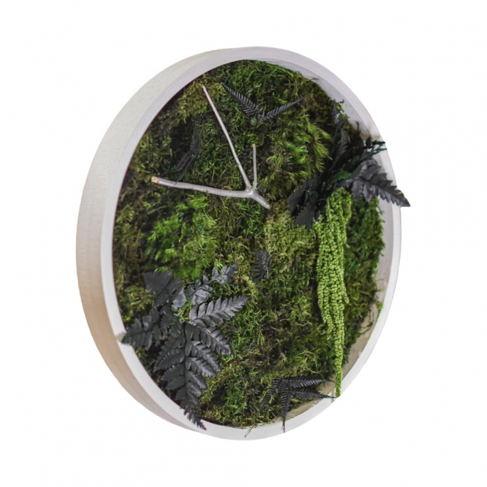Tablou decorativ muschi și plante ornamentale [2]