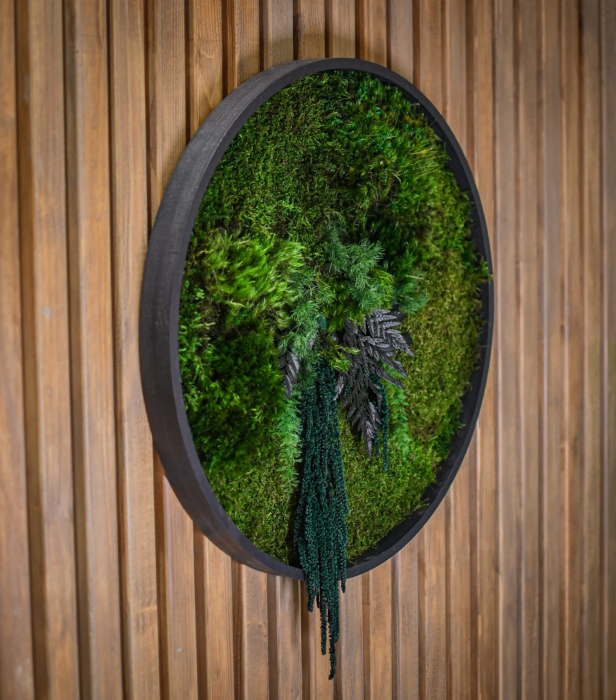 Tablou decorativ muschi și plante ornamentale [1]