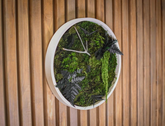 Tablou decorativ muschi și plante ornamentale [1]