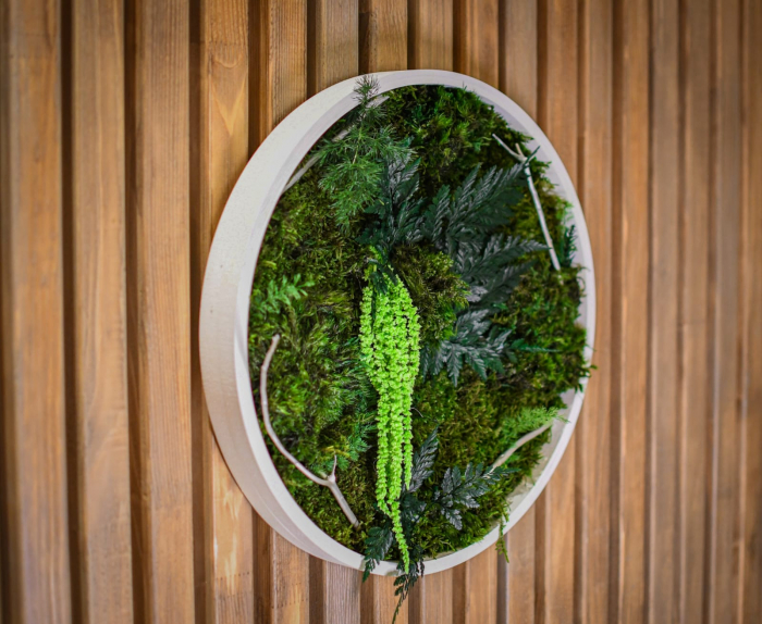 Tablou decorativ muschi și plante ornamentale [1]