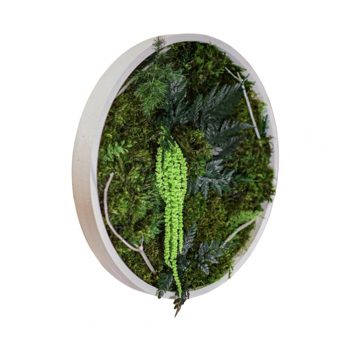 Tablou decorativ muschi și plante ornamentale [2]