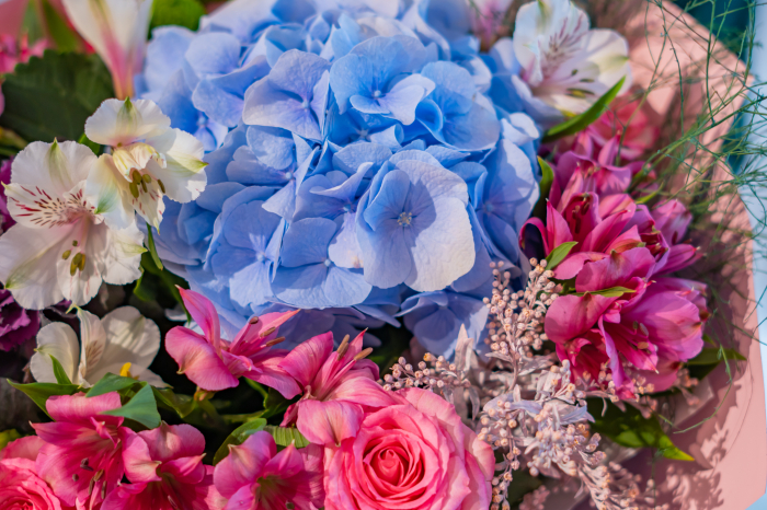 Buchet hortensia blue [3]
