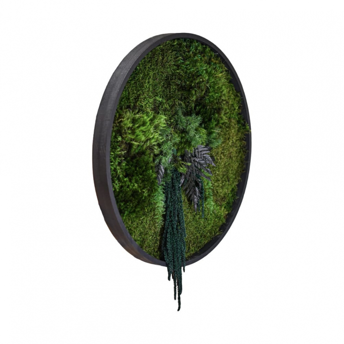Tablou decorativ muschi și plante ornamentale [2]