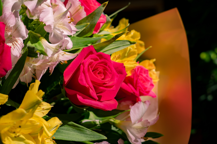 Buchet "Ciclam" [3]