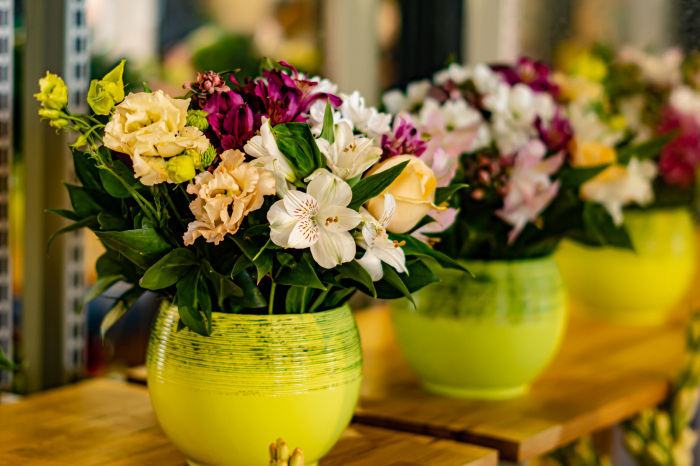 Aranjament floral în vas ceramic [3]
