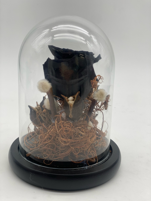 Aranjament trandafiri criogenați cupola H 16 cm [7]