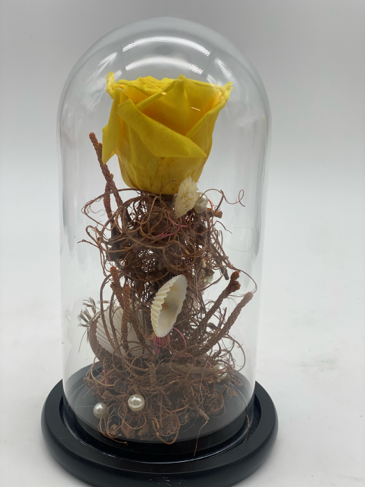 Aranjament trandafiri criogenați cupola H 22 cm [12]