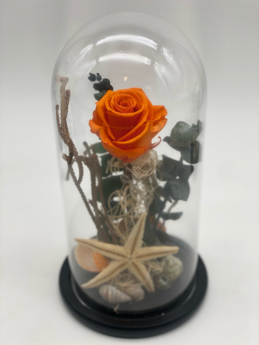 Aranjament trandafiri criogenați cupola H 26 cm [9]