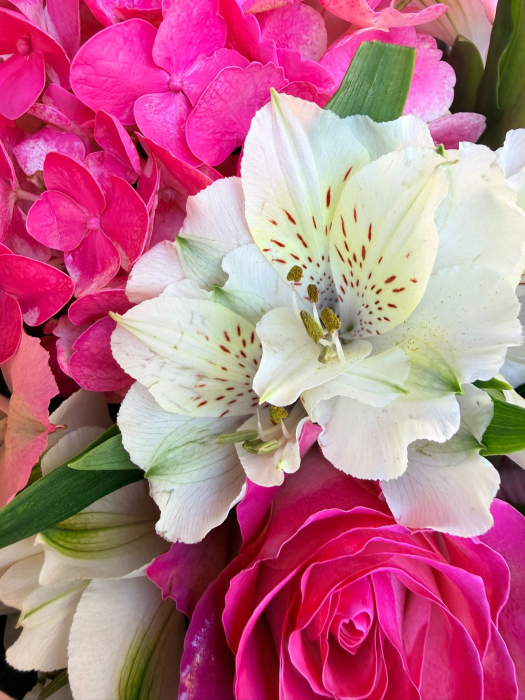 Aranjament floral ce contine hortensie, trandafiri, solidago și alstroemeria. [2]