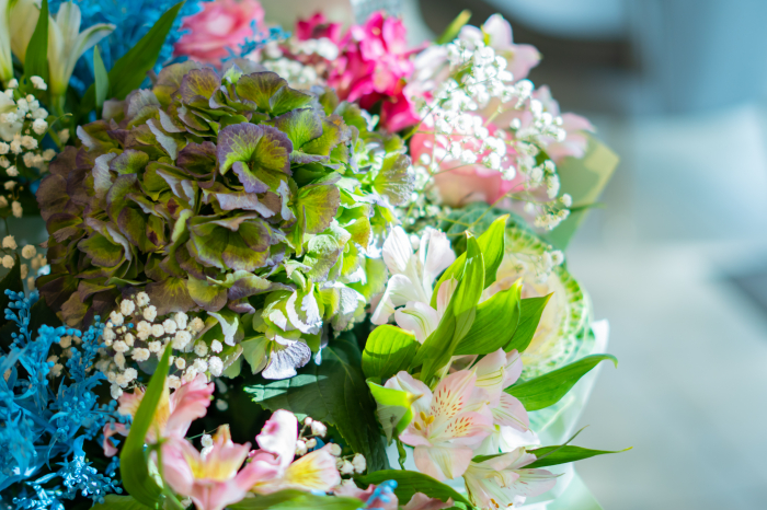 Buchet hortensia green [3]