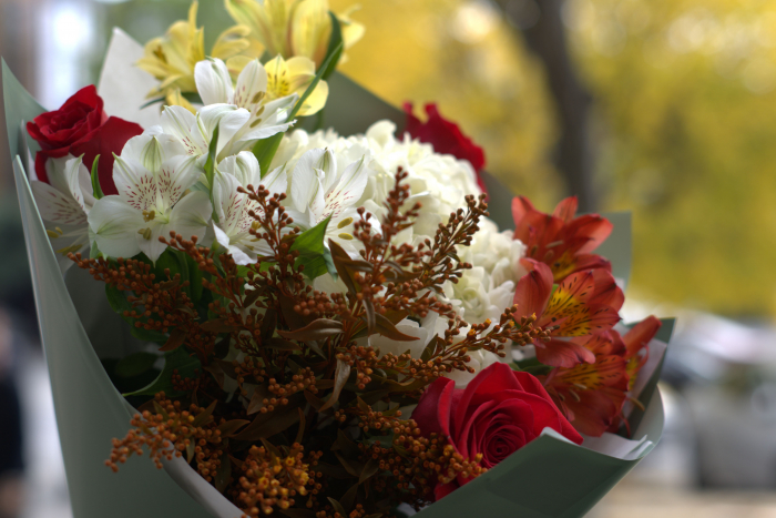 Buchet "Tomnatic" [2]