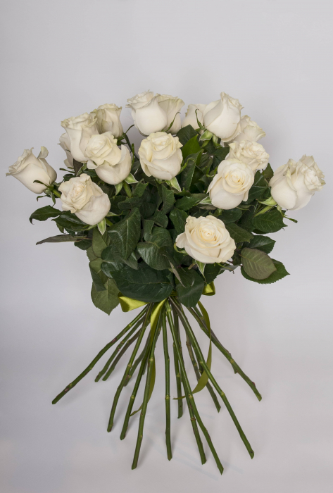 Buchet trandafiri albi [1]