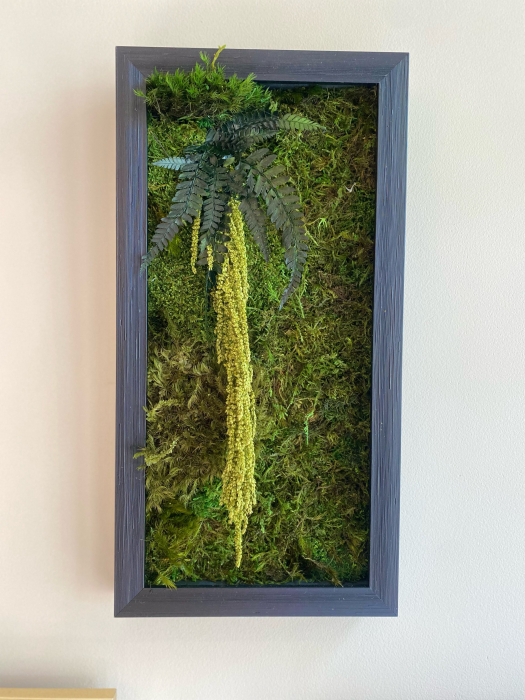 Tablou decorativ muschi și plante ornamentale [1]