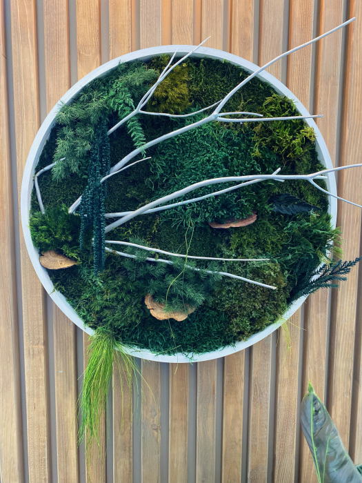 Tablou decorativ muschi și plante ornamentale [1]