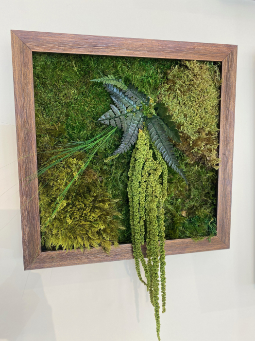 Tablou decorativ muschi și plante ornamentale [1]