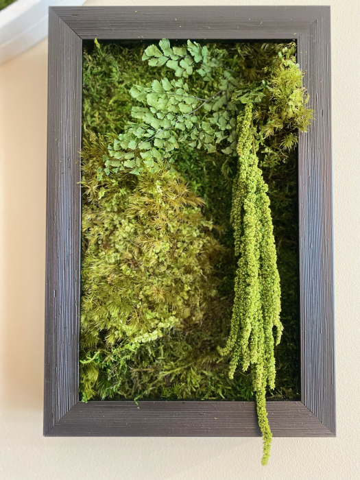 Tablou decorativ muschi și plante ornamentale [1]