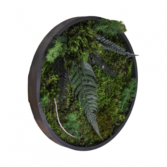Tablou decorativ muschi și plante ornamentale [2]