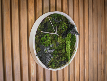 Cadouri - Tablou decorativ muschi și plante ornamentale