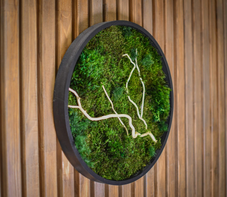 Cadouri - Tablou decorativ muschi și plante ornamentale