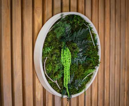 Cadouri - Tablou decorativ muschi și plante ornamentale