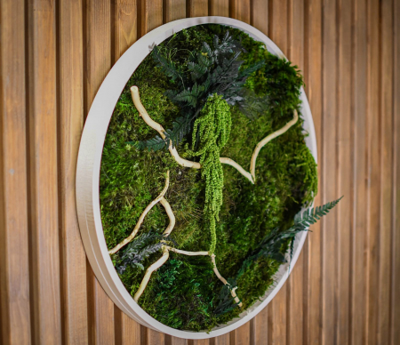 Cadouri - Tablou decorativ muschi și plante ornamentale