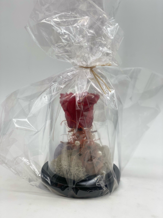 Aranjament trandafiri criogenați cupola H 16 cm [13]