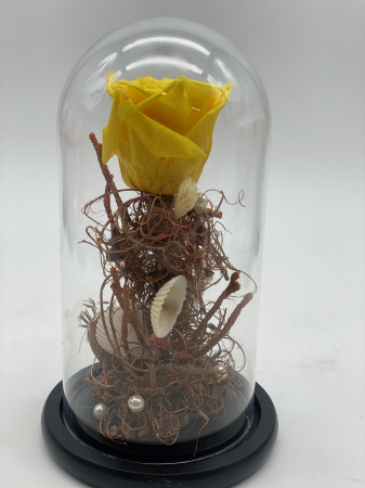 Aranjament trandafiri criogenați cupola H 22 cm [11]