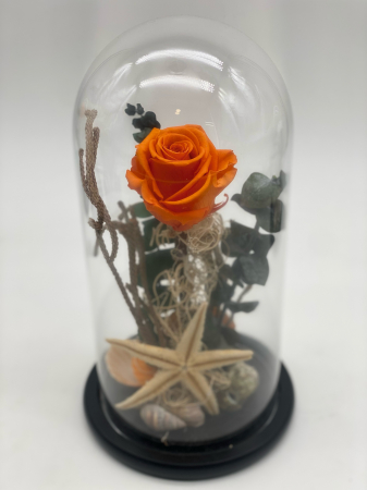 Aranjament trandafiri criogenați cupola H 26 cm [8]
