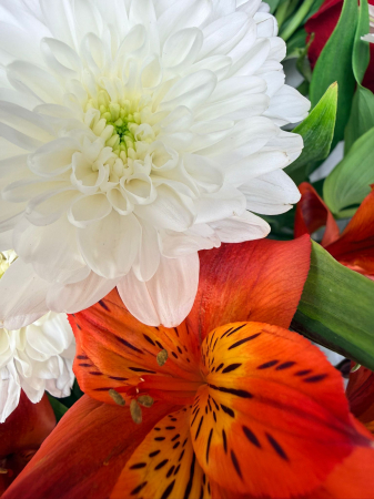 Aranjament cu trandafiri, crizantemă, solidago și alstroemeria. [2]