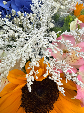 buchet explozie solara [1]
