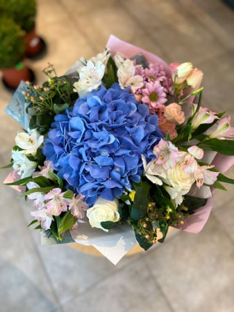 Buchete hortensie - Buchet hortensia Big blue