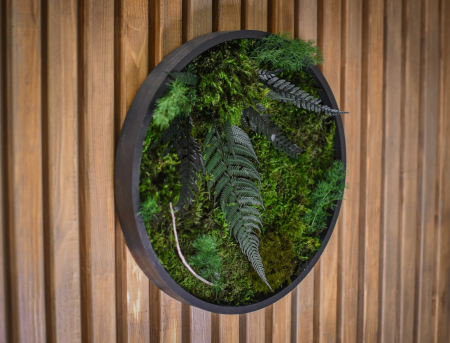 Cadouri - Tablou decorativ muschi și plante ornamentale