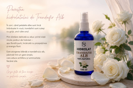 Hidrolat de Trandafir Alb - Apa Florala Naturala, 100 ml [2]