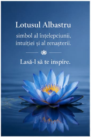 ulei-esential-de-lotus-albastru-blend-roll-on-10-ml [3]
