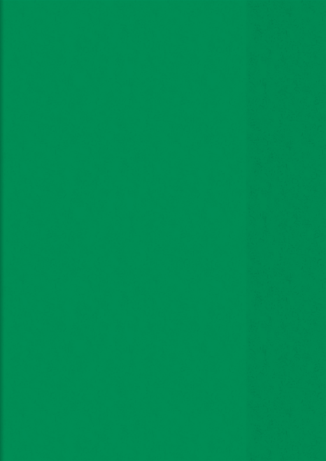 Copertă pentru caiet A4, verde [1]