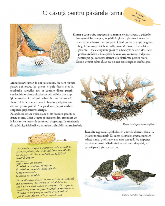 minunata-lume-a-păsărilor-de-susanne-riha-3-10-ani [2]