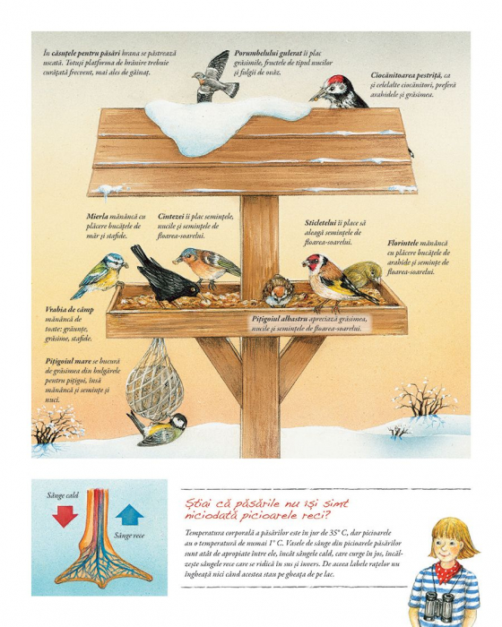 minunata-lume-a-păsărilor-de-susanne-riha-3-10-ani [3]