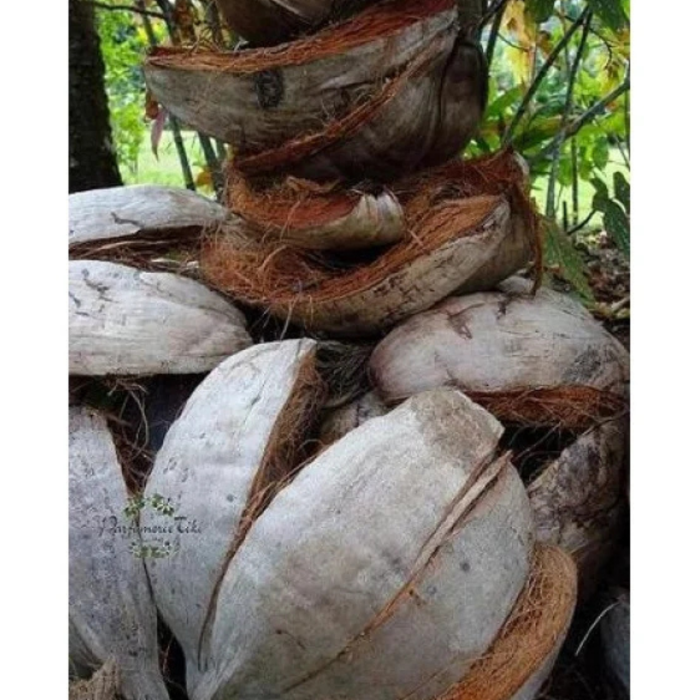 Experiență Tahitiană: Masajul Taurumi cu Monoï Tiki pentru Relaxare și Revigorare [3]