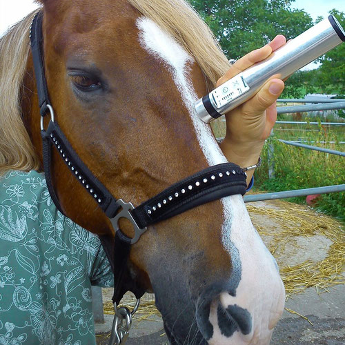 Terapie pentru sănătatea animalelor