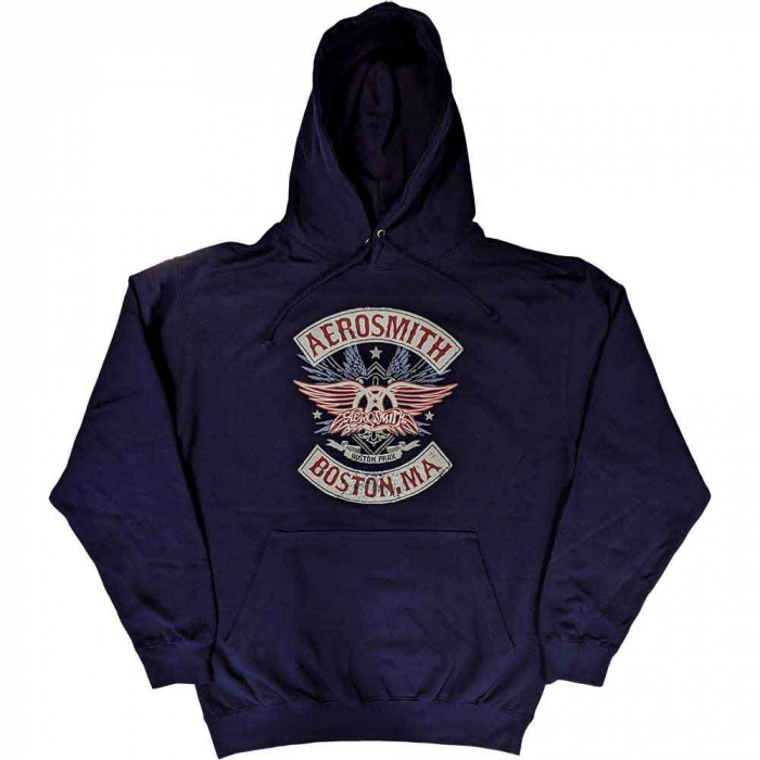 Aerosmith Unisex Pullover Hoodie: Boston Pride [1]