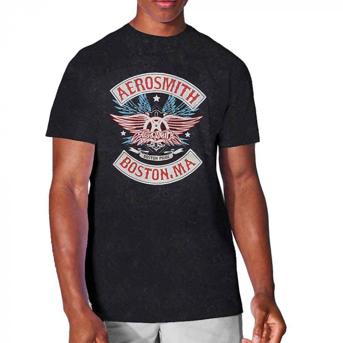 Aerosmith Unisex T-Shirt: Boston Pride (Wash Collection) [1]