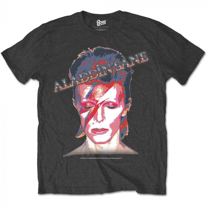 David Bowie Unisex T-Shirt: Aladdin Sane [1]