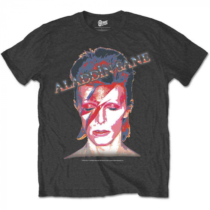 David Bowie Unisex T-Shirt: Aladdin Sane [1]