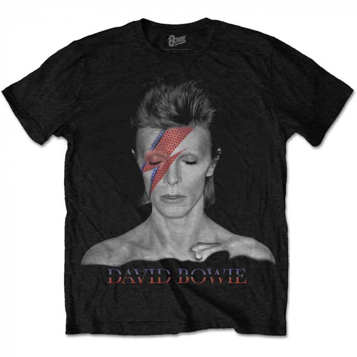 David Bowie Unisex T-Shirt: Aladdin Sane [1]