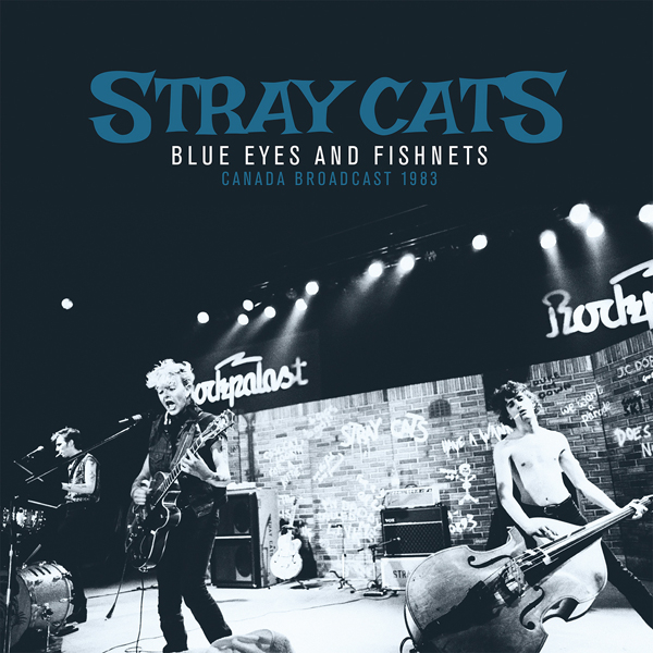STRAY CATS [1]