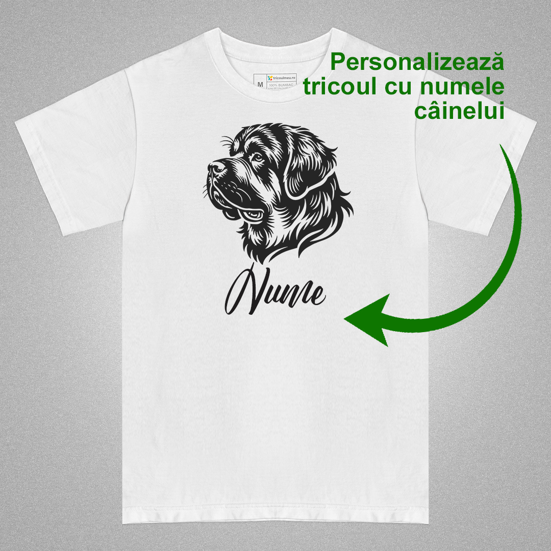 Tricou Alpine Mastiff [2]