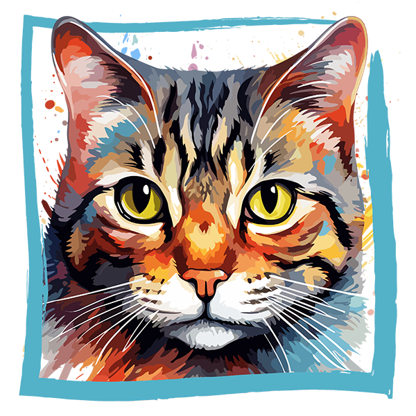 Tricou American Wirehair [2]