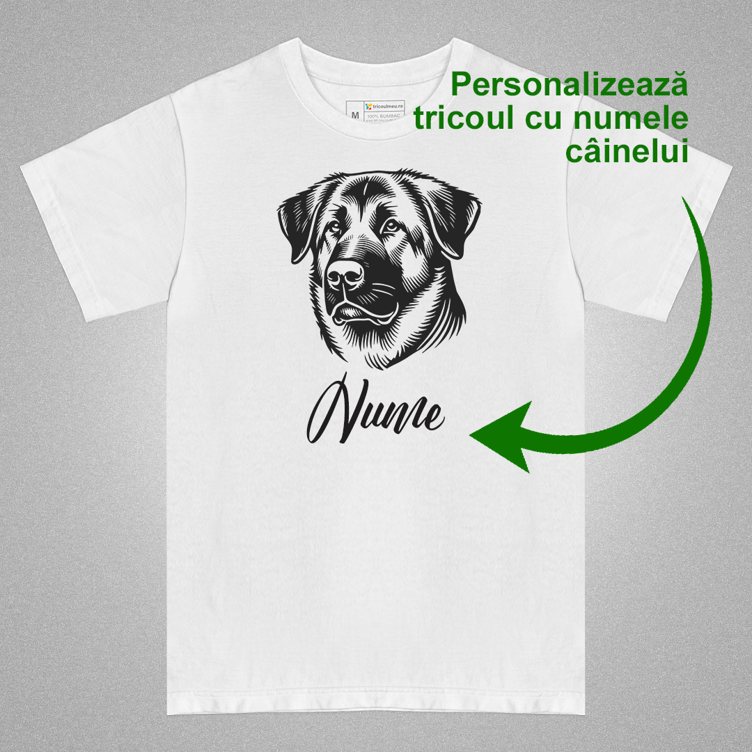 Tricou Anatolian Shepherd [2]