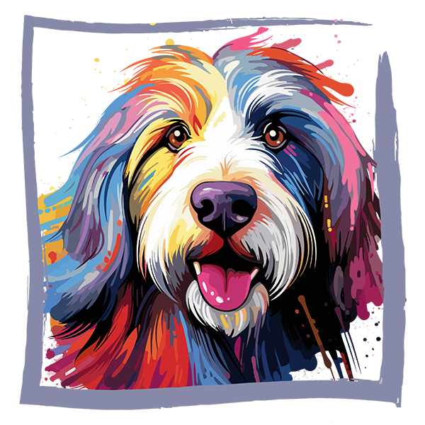 Tricou Bearded Collie [2]