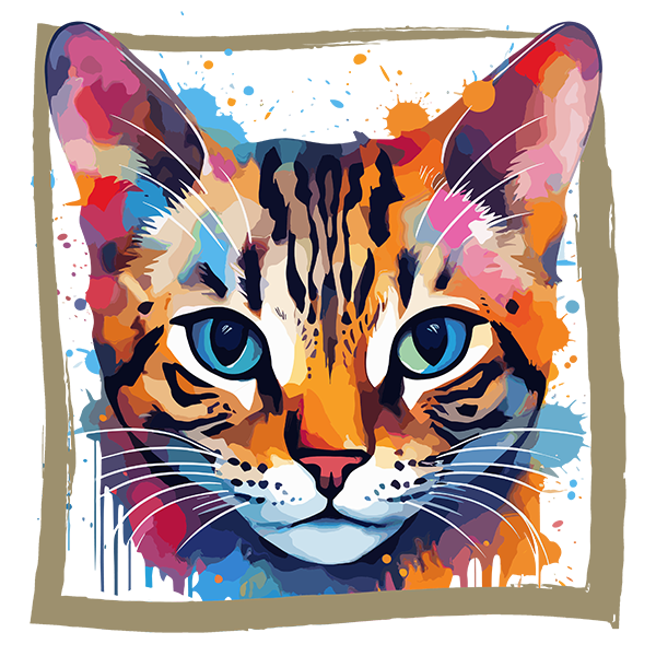 Tricou Bengal [2]